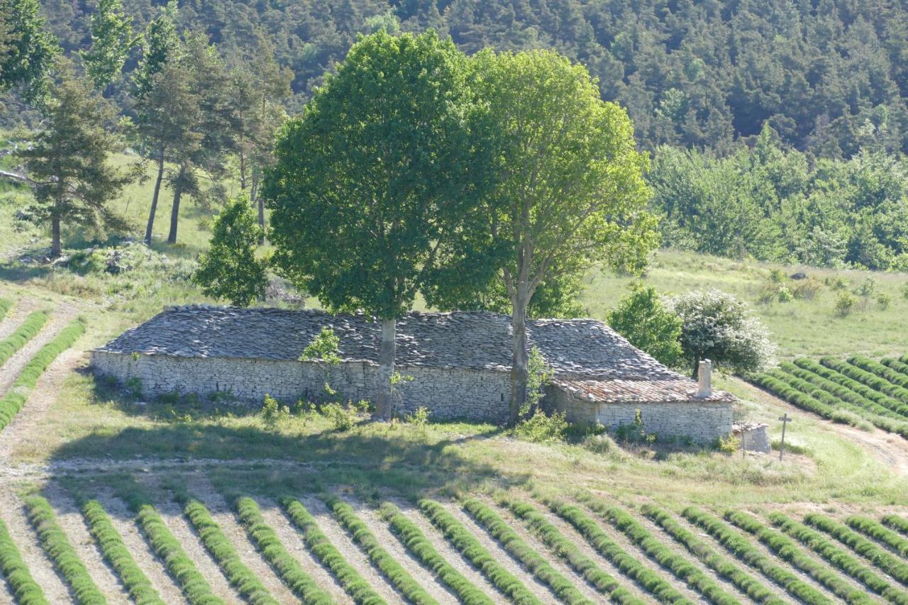Les Bois Rouges Bed & Breakfast La Rochegiron Exterior photo